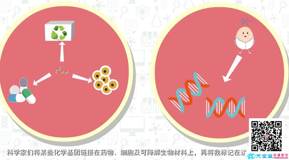 動(dòng)畫(huà)宣傳片制作公司