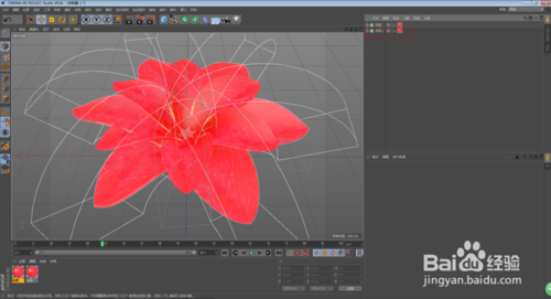 C4D怎么制作花朵開放的動(dòng)畫效果