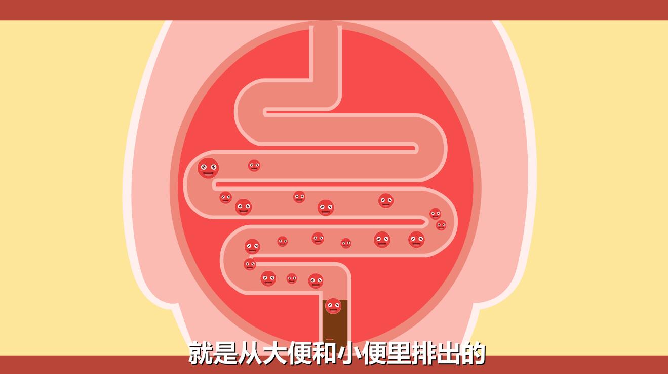 新生兒黃疸怎么退的快？膽紅素跟隨大小便排除體外.jpg