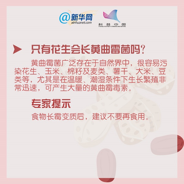 只有花生會(huì)長(zhǎng)黃曲霉菌嗎mg科普動(dòng)畫在