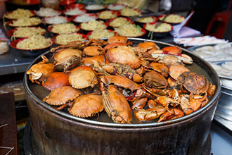 創(chuàng)傷弧菌mg科普知識(shí)動(dòng)畫(huà)制作