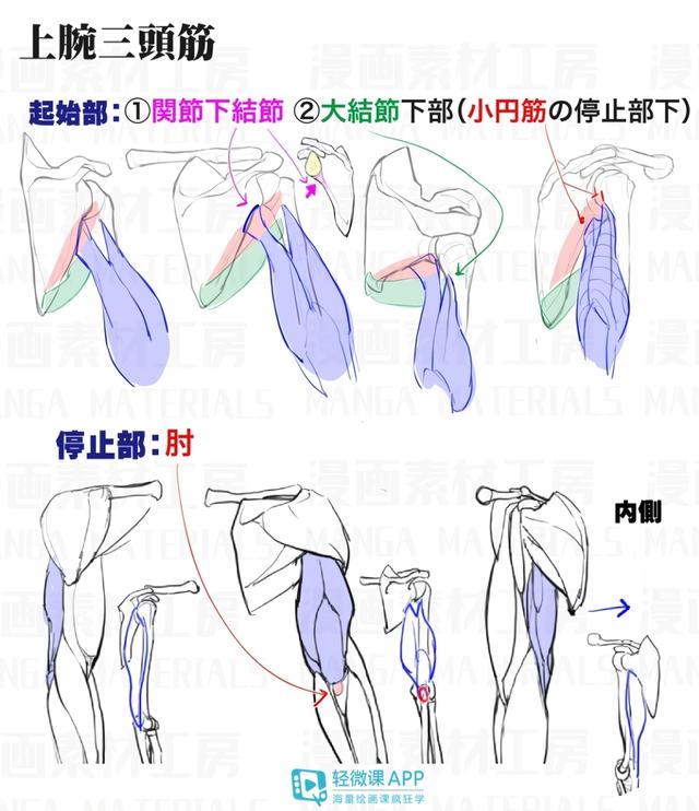 黃鶴樓動(dòng)漫