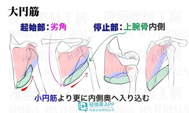 黃鶴樓動(dòng)漫