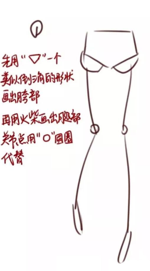 腿部教程（女性）大腿結(jié)構(gòu)畫法教程.jpg