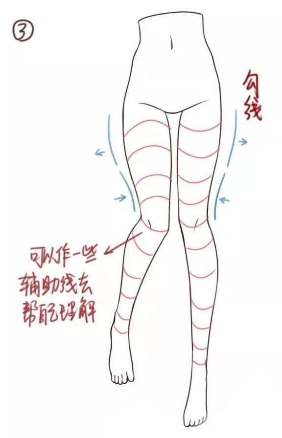 腿部教程（女性）大腿結(jié)構(gòu)畫法教程3.jpg