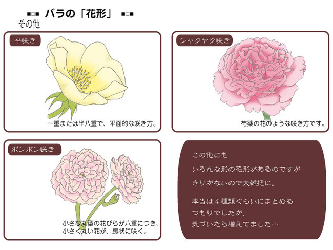 各種花的簡單畫法，一步一步教你畫鮮花