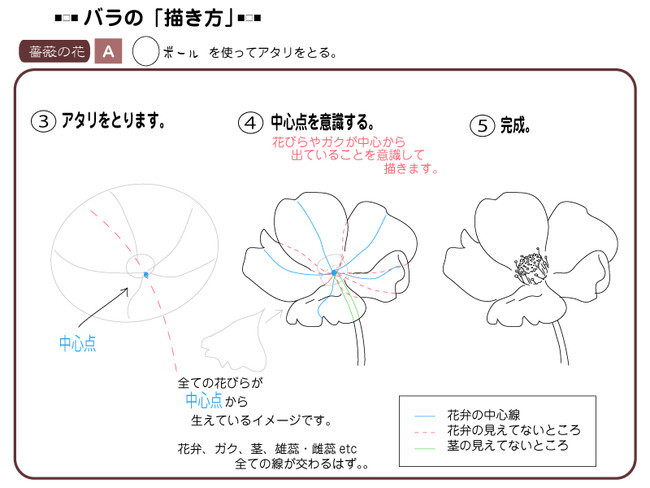 各種花的簡單畫法，一步一步教你畫鮮花