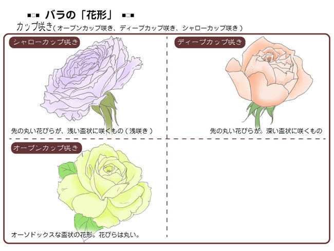 各種花的簡單畫法，一步一步教你畫鮮花