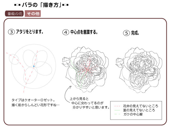 各種花的簡單畫法，一步一步教你畫鮮花