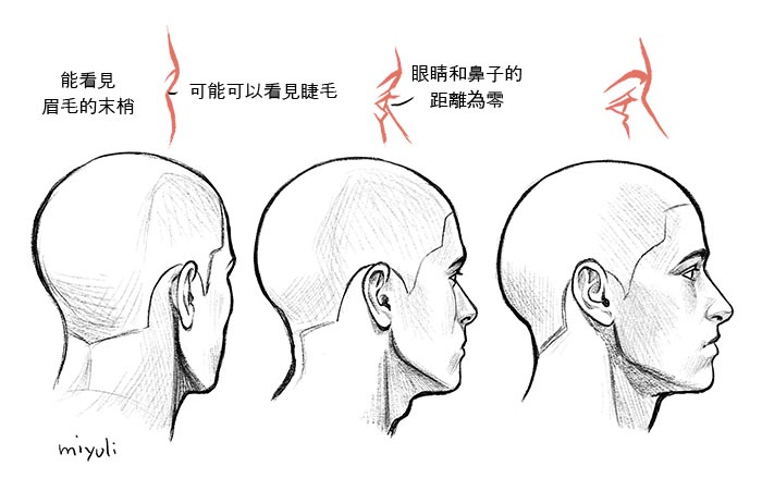 從側(cè)面的狀態(tài)觀看時，人物轉(zhuǎn)向另一側(cè)後，就只能看見眉毛和睫毛.jpg