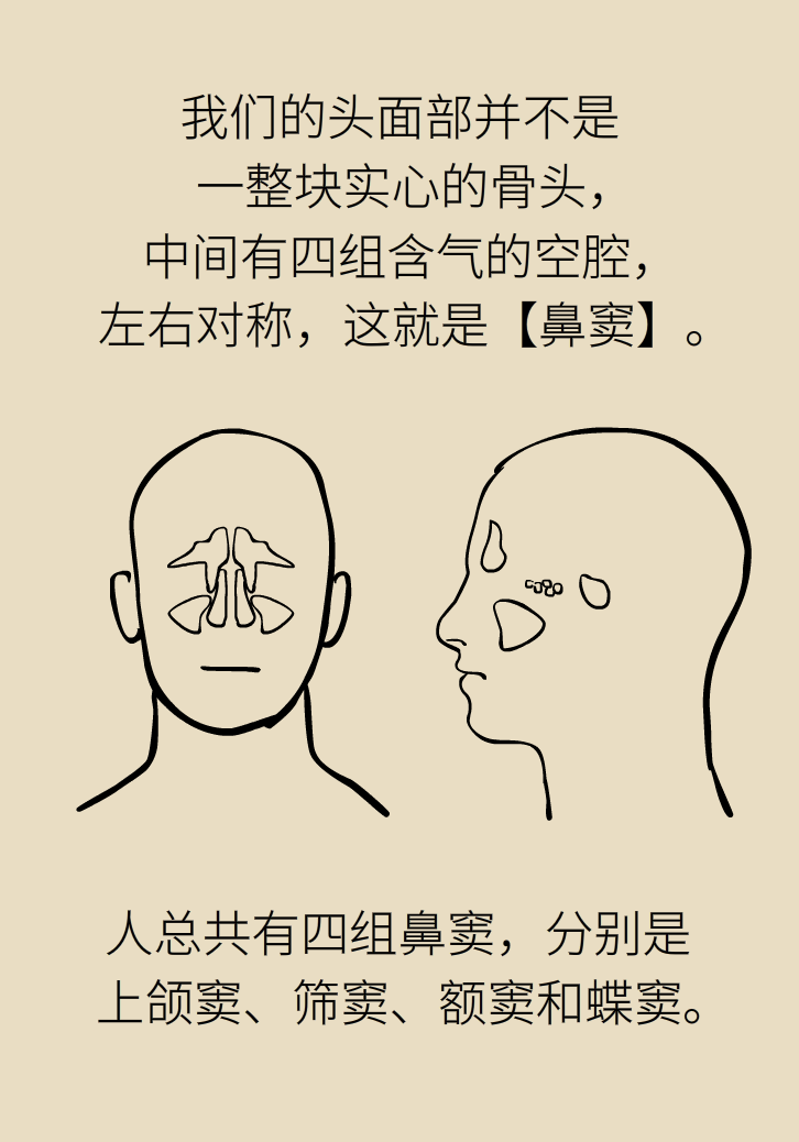 為什么鼻竇發(fā)炎，疼的卻是頭、眼和牙？