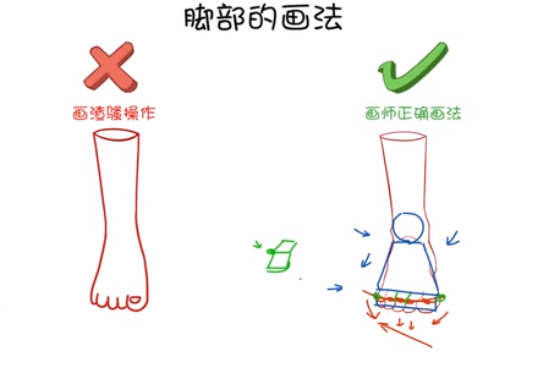 在這個弧線上，可以畫出大拇趾，跟小拇趾的兩個突出的關(guān)節(jié).png