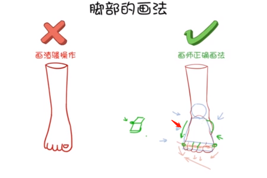 腳掌對腳后跟有一個遮擋的關(guān)系，所以在畫正面腳的時候，一定要注意.png