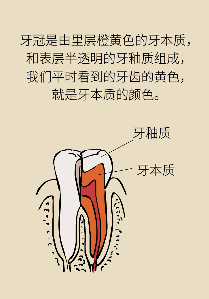 牙太黃，這些“美白”方法管用嗎？