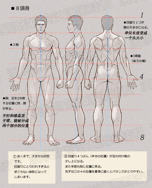 零基礎學繪畫教程！如何正確掌握繪畫人體結(jié)構(gòu)？