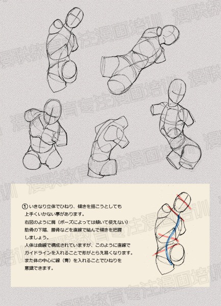 零基礎學繪畫教程！如何正確掌握繪畫人體結(jié)構(gòu)？