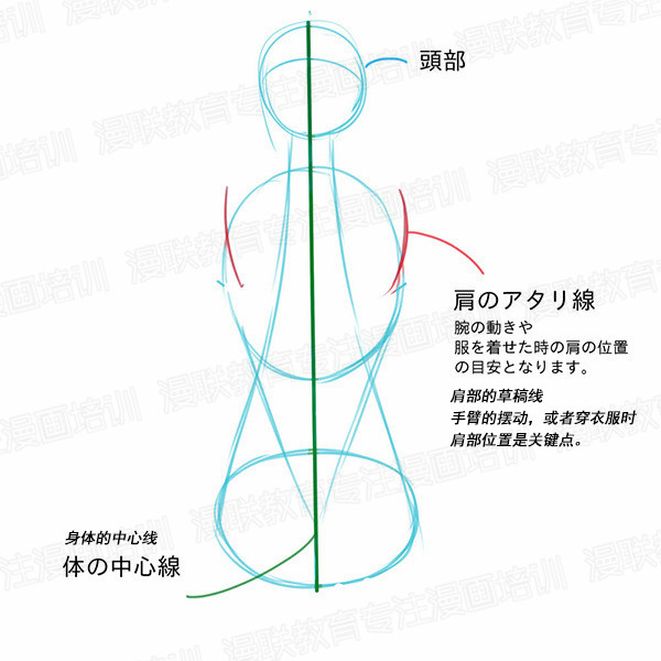 「教程」如何正確掌握人體結(jié)構(gòu) part 01 男女背部的區(qū)別畫(huà)法