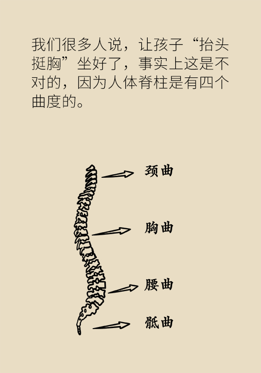 正確坐姿科普動漫制作：抬頭挺胸竟然不是最正確的姿勢？