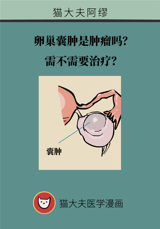 卵巢囊腫科普動漫：卵巢囊腫是腫瘤嗎？要學(xué)會這樣區(qū)分