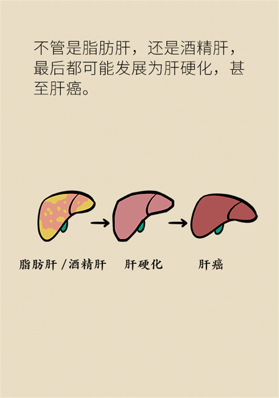 喝酒之后會傷肝？這個因素很重要