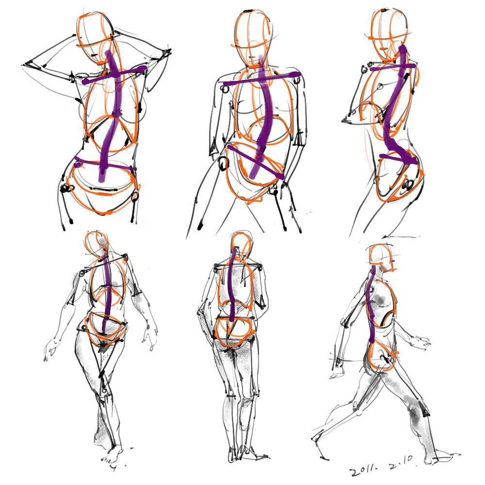 「動(dòng)漫設(shè)計(jì)」分享一波繪畫(huà)專(zhuān)用人體解剖素材 part 01