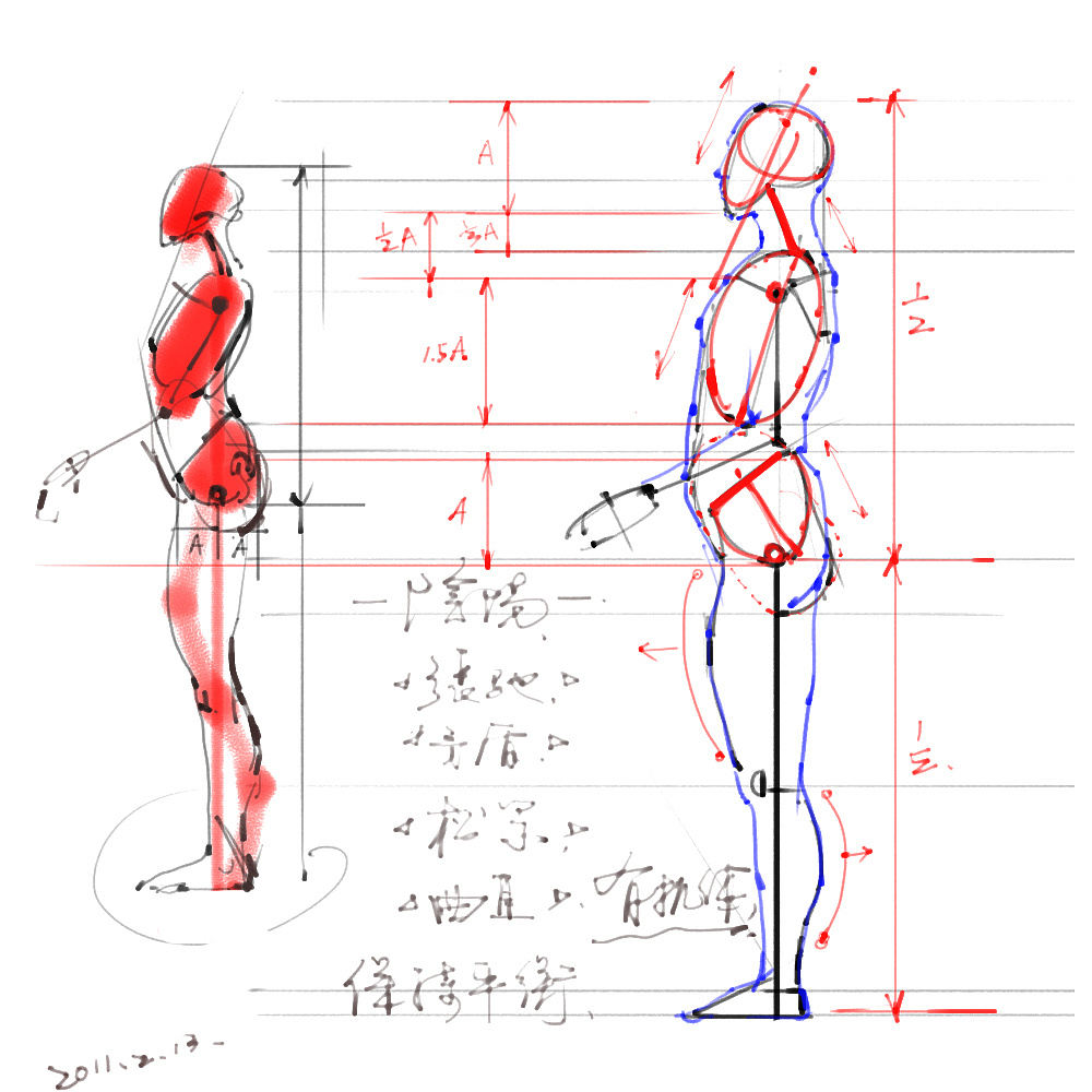 「動(dòng)漫設(shè)計(jì)」分享一波繪畫(huà)專(zhuān)用人體解剖素材 part 01