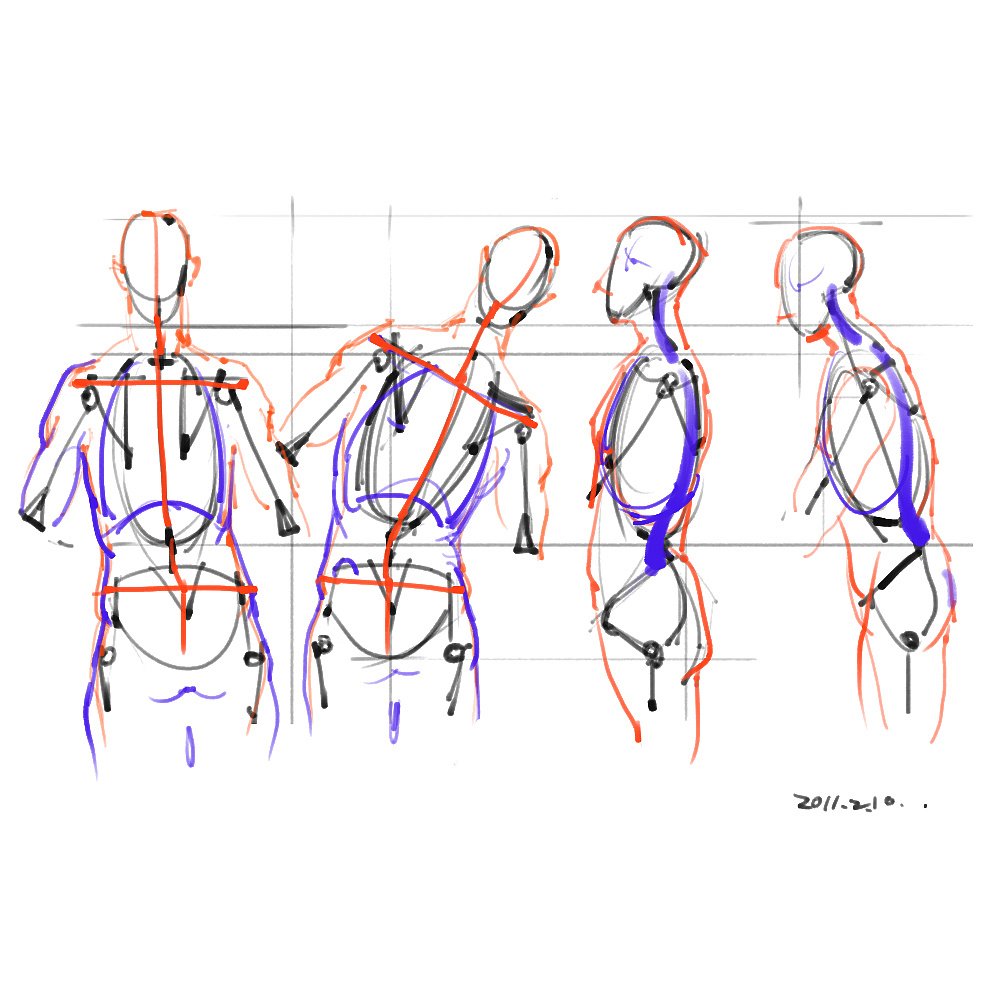 「動(dòng)漫設(shè)計(jì)」分享一波繪畫(huà)專(zhuān)用人體解剖素材 part 01