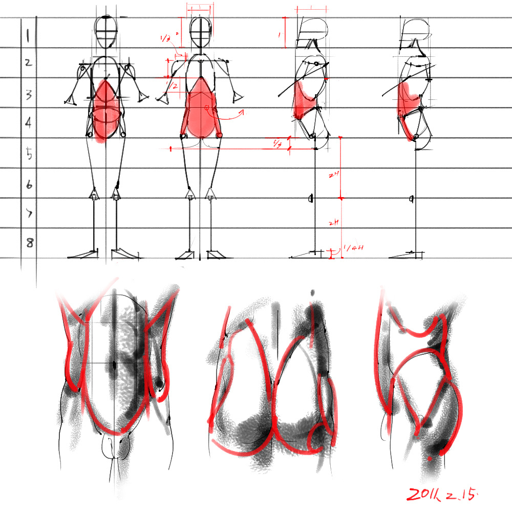 「動(dòng)漫設(shè)計(jì)」分享一波繪畫專用人體解剖素材 part 03