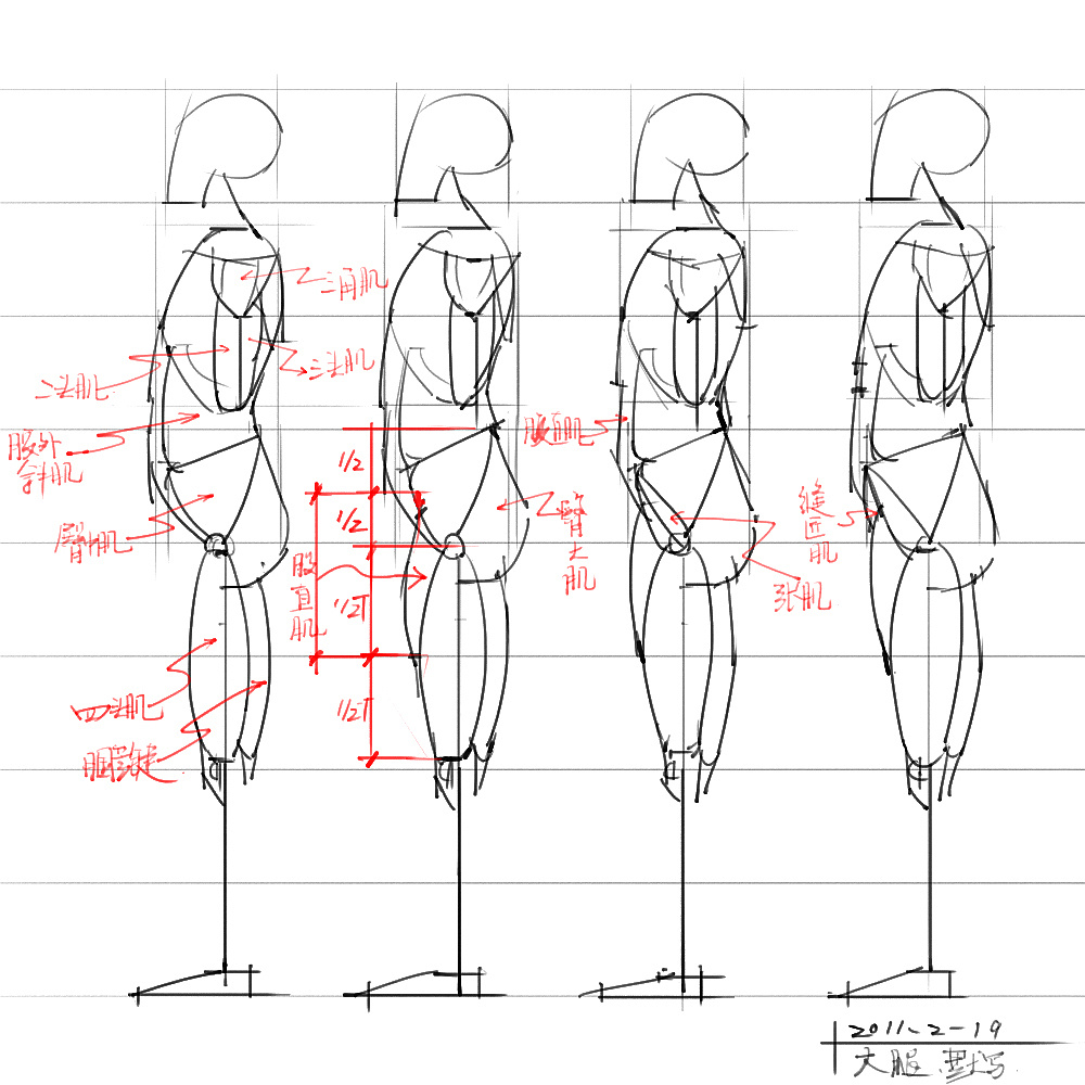 「動(dòng)漫設(shè)計(jì)」分享一波繪畫專用人體解剖素材 part 04