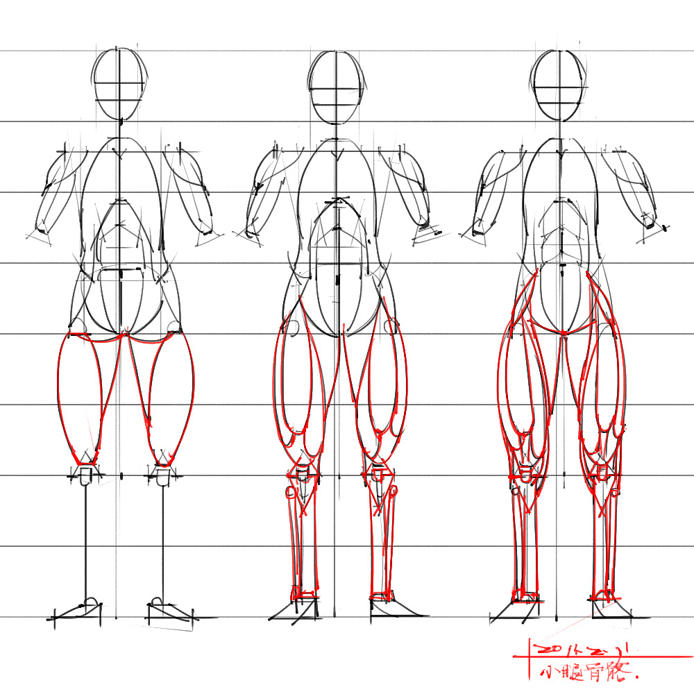 「動(dòng)漫設(shè)計(jì)」分享一波繪畫專用人體解剖素材 part 04