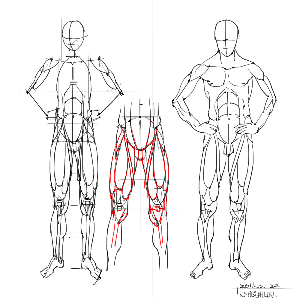 「動(dòng)漫設(shè)計(jì)」分享一波繪畫(huà)專用人體解剖素材 part 05