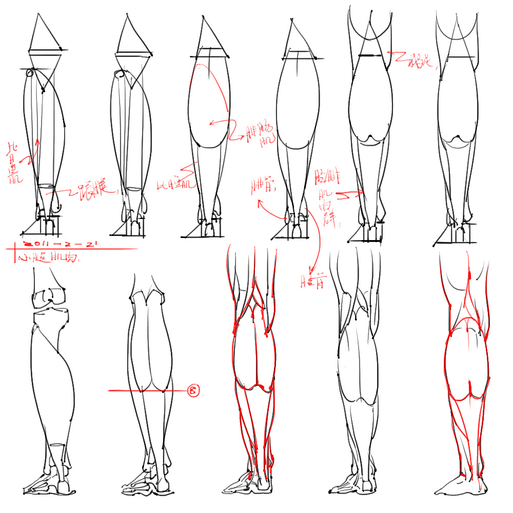 「動(dòng)漫設(shè)計(jì)」分享一波繪畫(huà)專用人體解剖素材 part 05