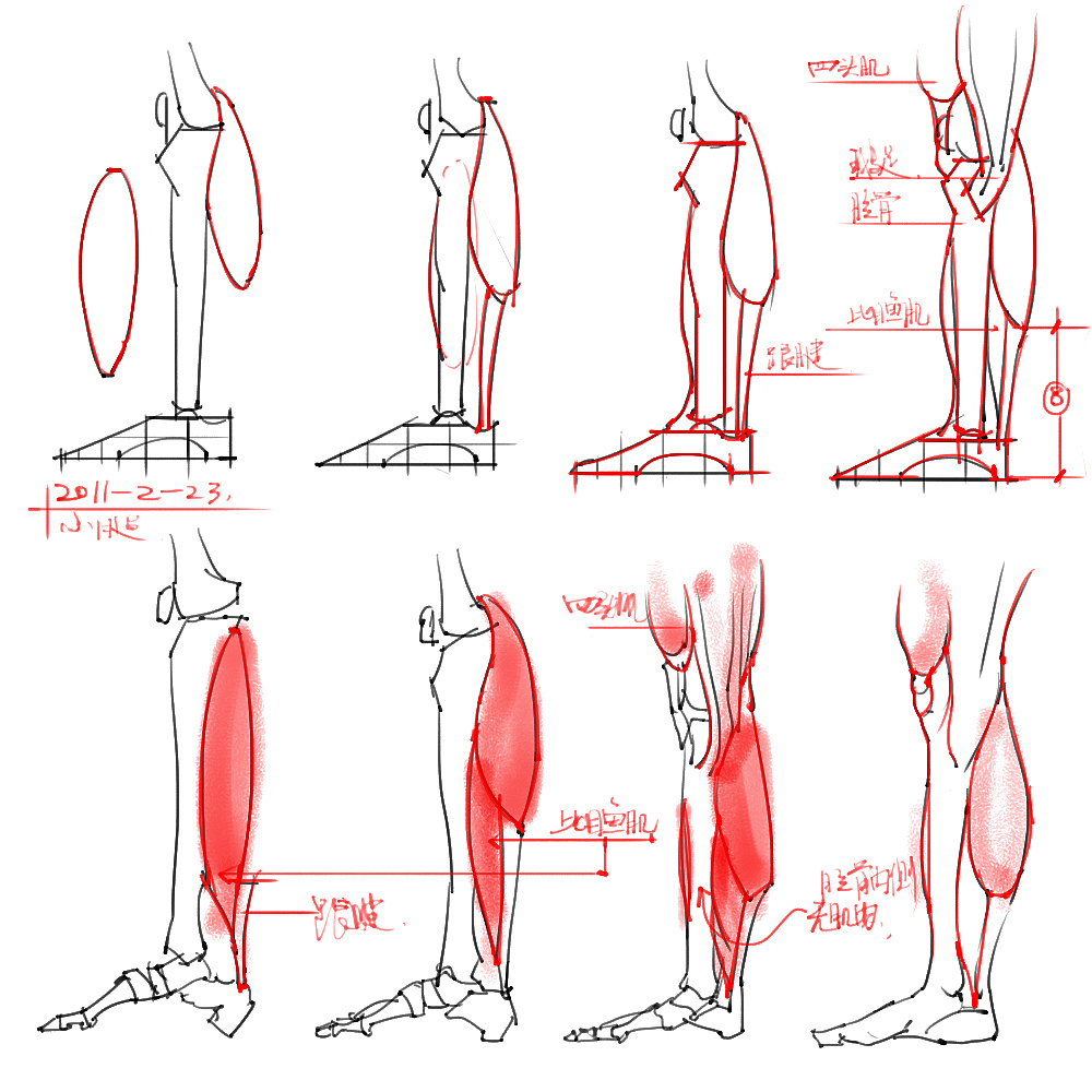 「動(dòng)漫設(shè)計(jì)」分享一波繪畫(huà)專用人體解剖素材 part 05
