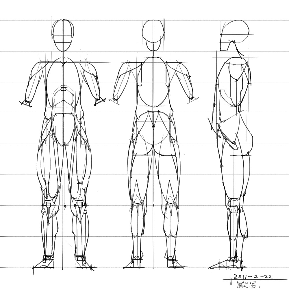 「動(dòng)漫設(shè)計(jì)」分享一波繪畫(huà)專用人體解剖素材 part 05
