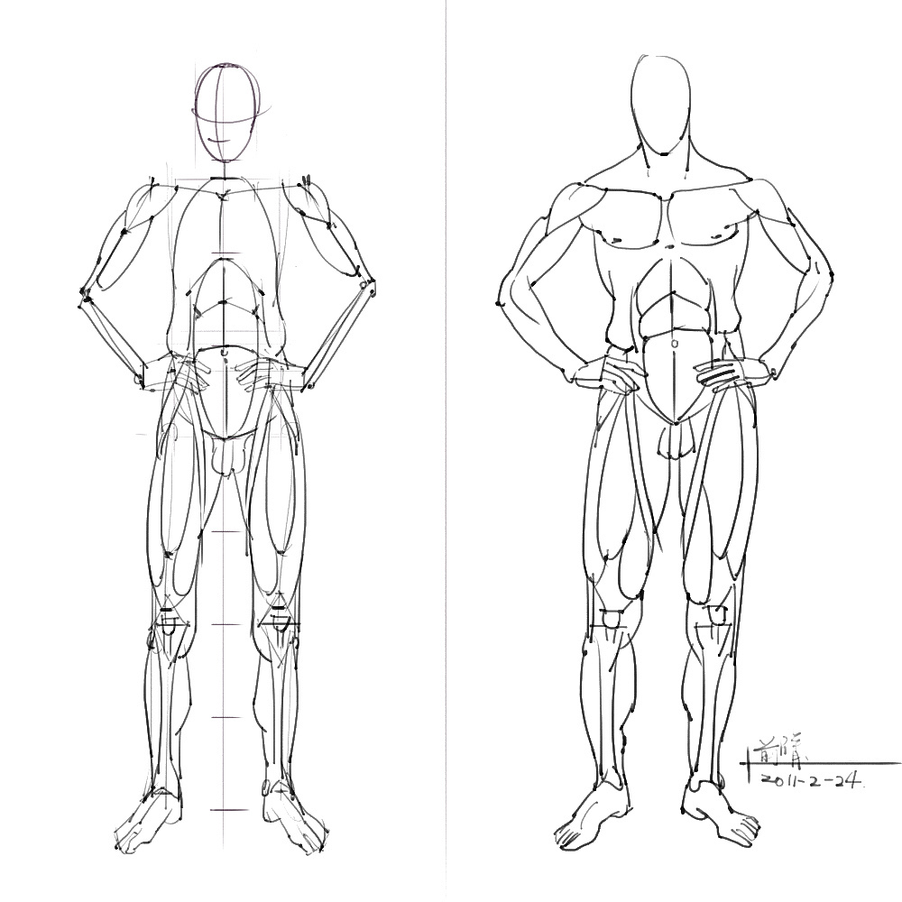 「動(dòng)漫設(shè)計(jì)」分享一波繪畫(huà)專用人體解剖素材 part 05
