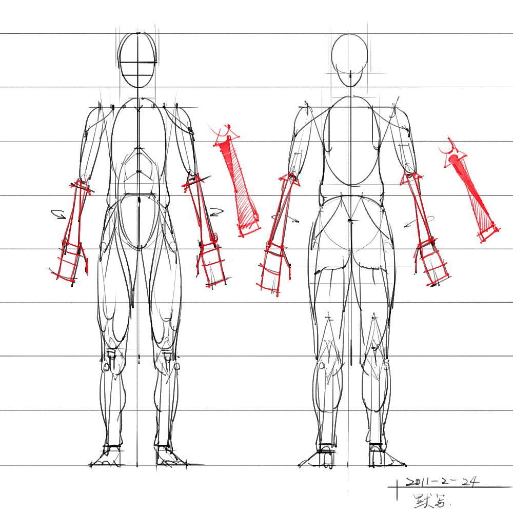 「動(dòng)漫設(shè)計(jì)」分享一波繪畫(huà)專用人體解剖素材 part 05
