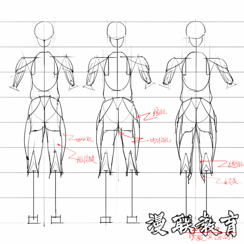 「動(dòng)漫設(shè)計(jì)素材」分享一波繪畫(huà)專(zhuān)用人體解剖素材 part 08