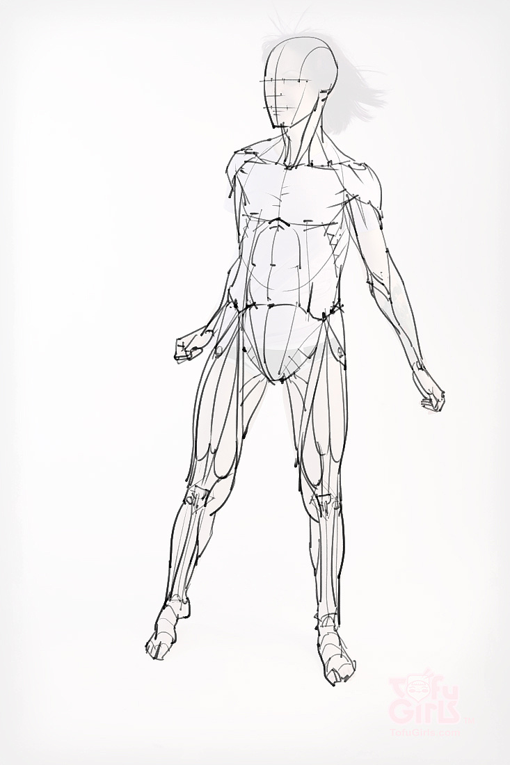「動(dòng)漫設(shè)計(jì)素材」分享一波繪畫專用人體解剖素材 part 09