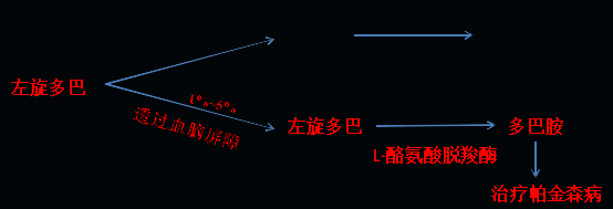 同樣的藥，為什么對他有效卻對你沒效果，可能得問腸道菌群