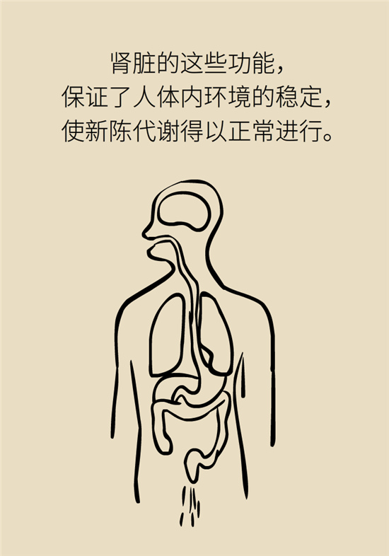 經(jīng)常憋尿會(huì)得急性腎炎？