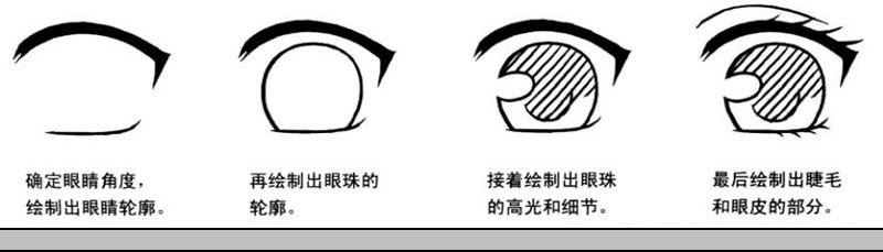 下面我們來介紹仰視眼睛的簡(jiǎn)單繪制步驟.jpg