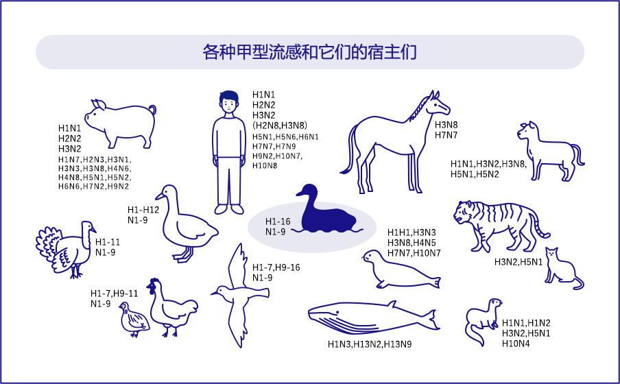 流感科普動(dòng)漫制作