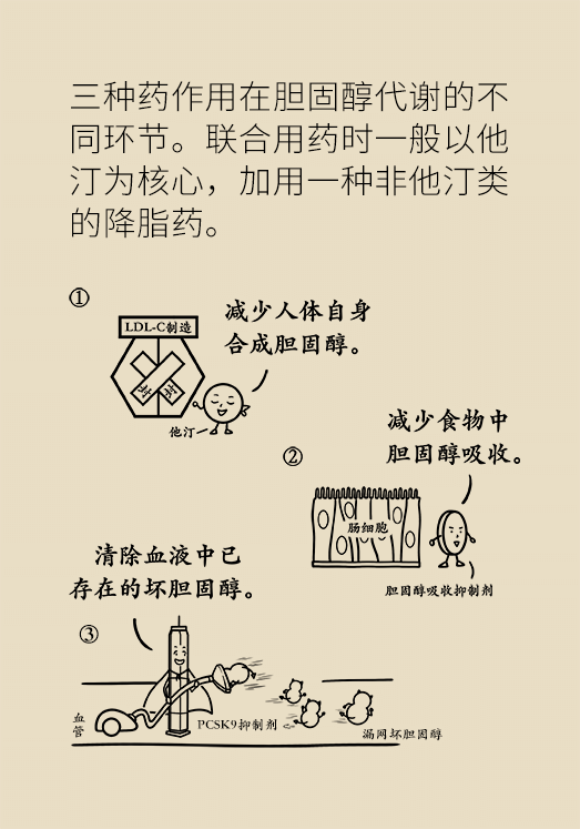 心?？破談?dòng)漫制作