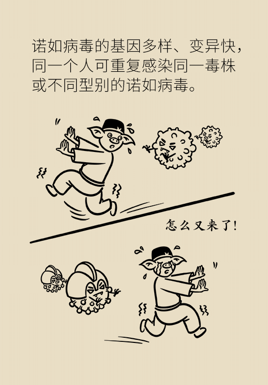 諾如病毒科普動漫制作