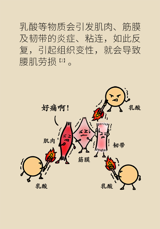 久坐久站致腰肌勞損？六招教你戰(zhàn)勝腰痛