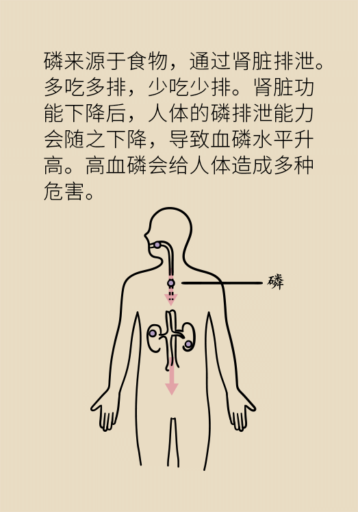 腎科普動漫制作