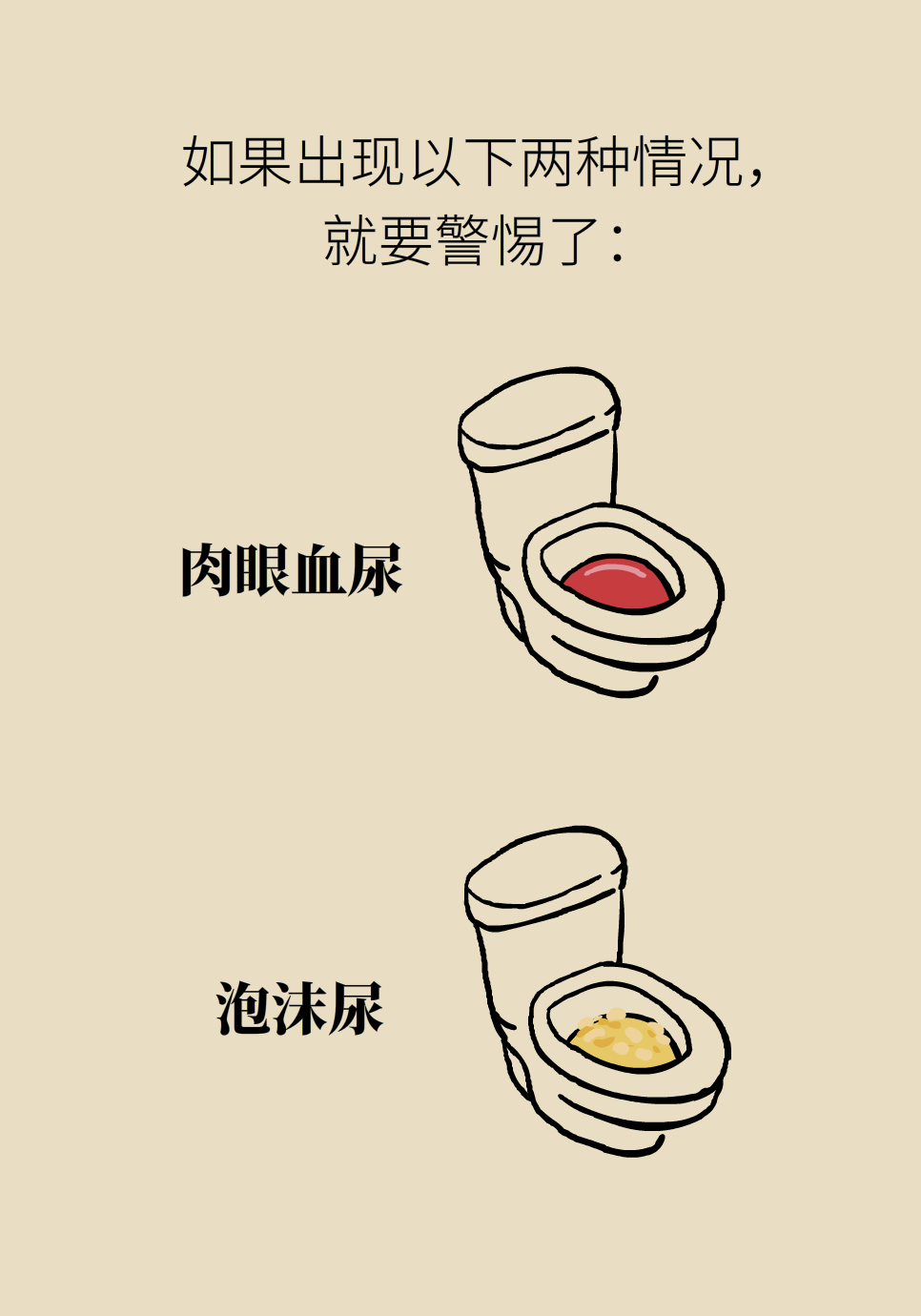 醫(yī)學(xué)腎知識(shí)科普