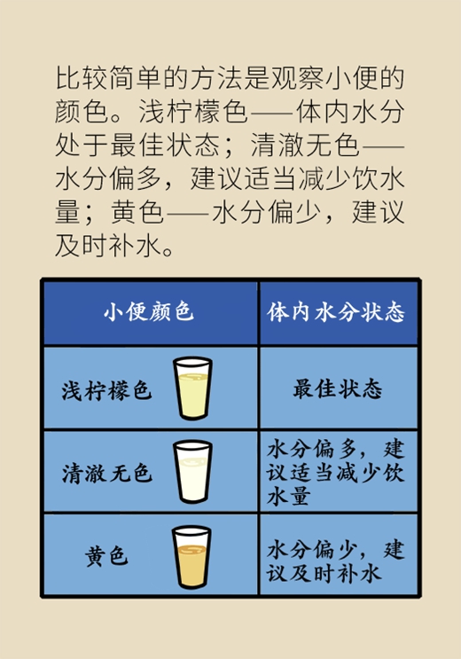 喝水醫(yī)學知識科普動漫制作