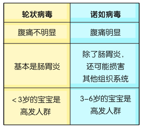 醫(yī)學(xué)諾如病毒科普動(dòng)漫制作