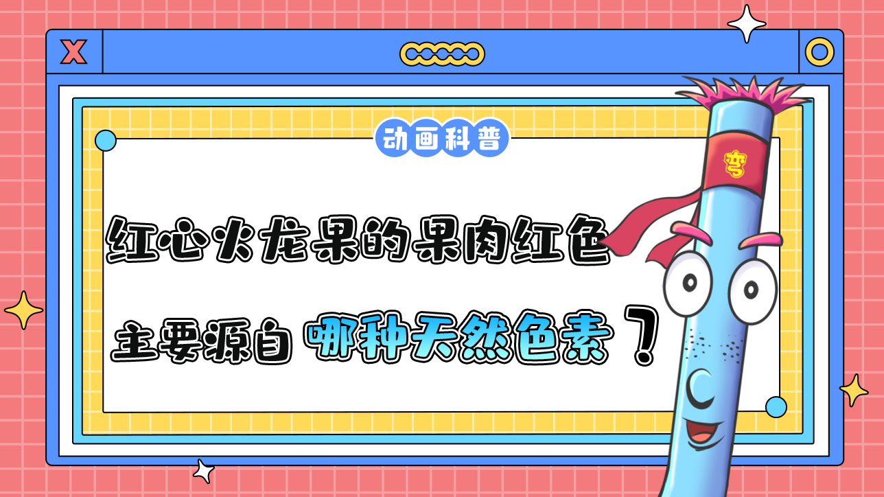 紅心火龍果的果肉之所以是紅色，主要源自哪種天然色素呢？.jpg